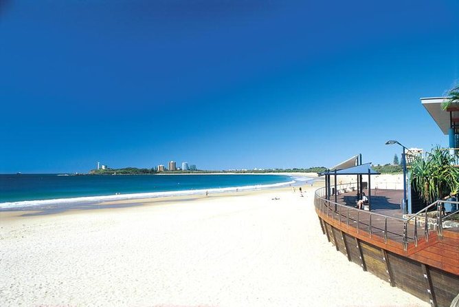 Whale Watching and Swim With Whales Cruise From Mooloolaba