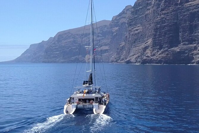 Whale Watching Catamaran to Los Gigantes & Masca (Including Drinks & Warm Lunch)