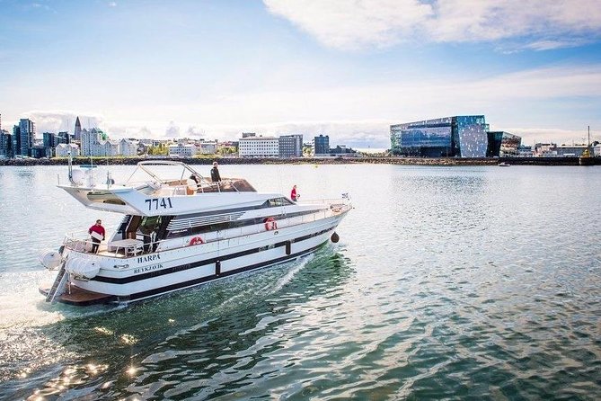 Whale Watching & Dolphin Yacht Cruise