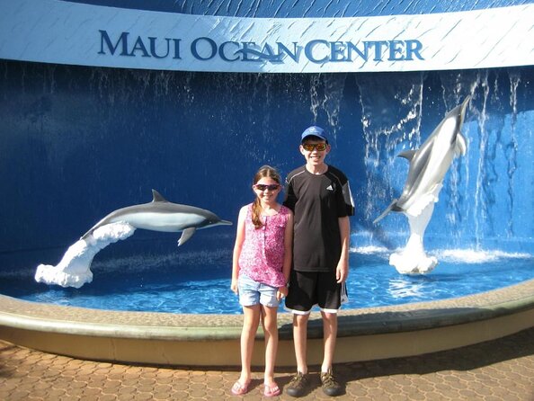 Whale Watching From Maalaea Harbor - Good To Know