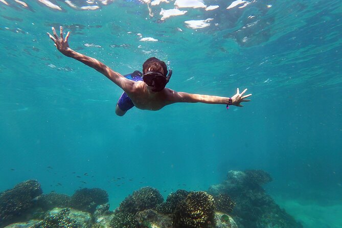 Whale Watching & Snorkeling Combo in Los Cabos With Photos Included