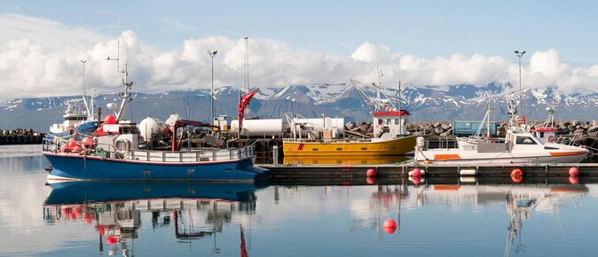 Whales and Puffins Tour From Husavik - Good To Know