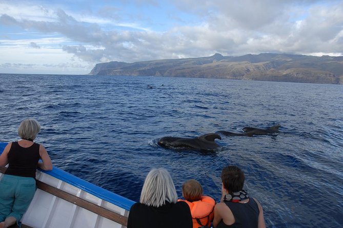 Whalewatching La Gomera - Good To Know