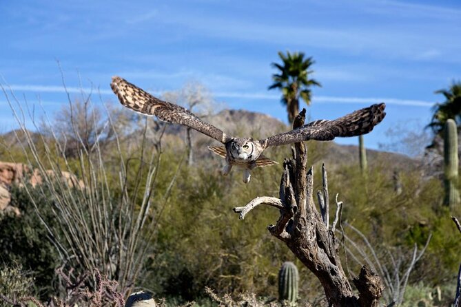 When Nature Calls – Exploring the Sonoran Desert