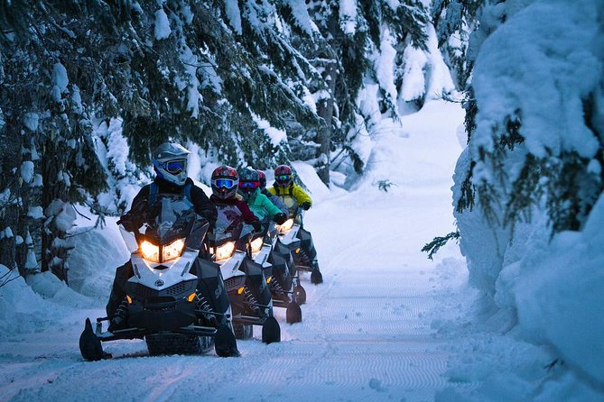 Whistler Cedar Forest Snowmobile Tour for Intermediate Riders