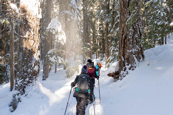 Whistler Small-Group Full-Day Snowshoe Tour