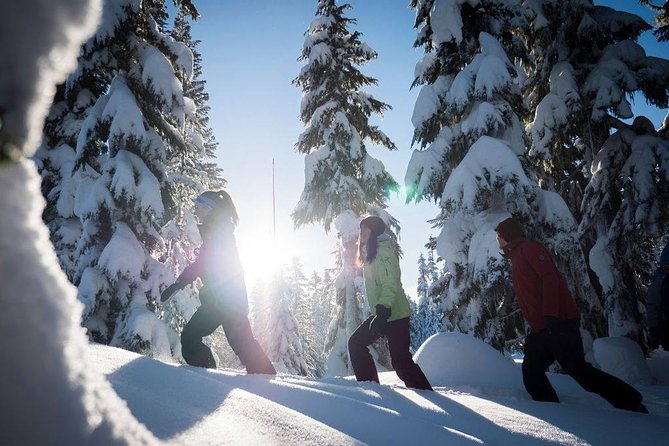 Whistler Snowshoeing Adventure