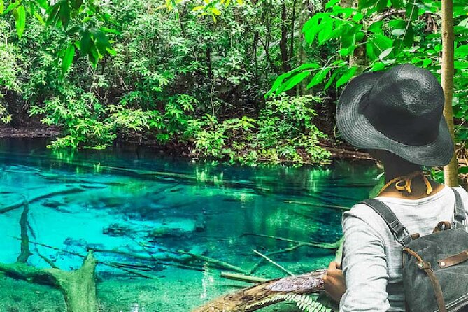 White Temple, Emerald Pool & Hot Springs Tour From Krabi