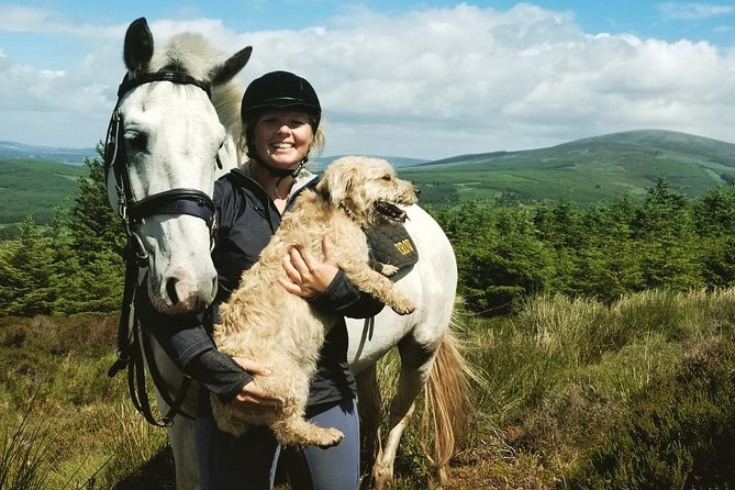Wicklow Monutains Horse Trekking