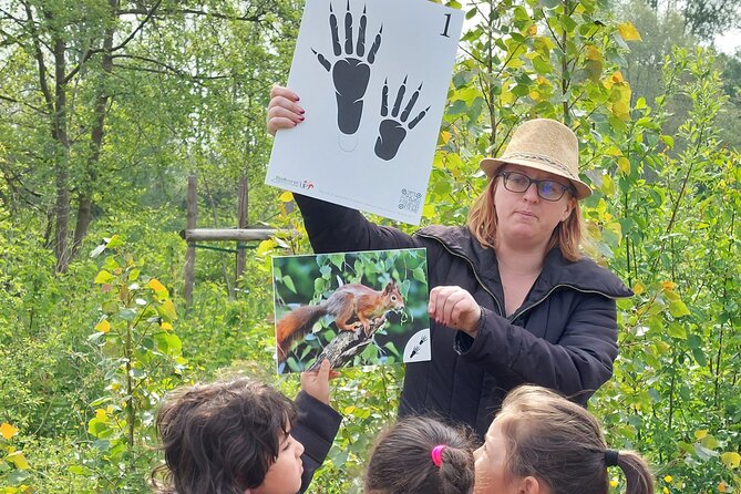 Wild Animal Treasure Hunt