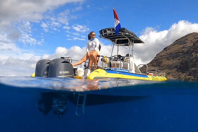 Wild Dolphin Watching and Snorkel Safari off West Coast of Oahu - Good To Know