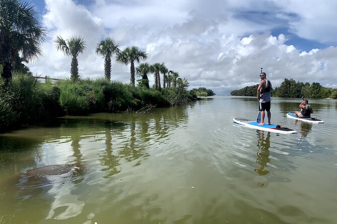 Wildlife Refuge Sunset Dolphin, Manatee & Mangrove Kayak or Paddleboarding Tour! - Good To Know