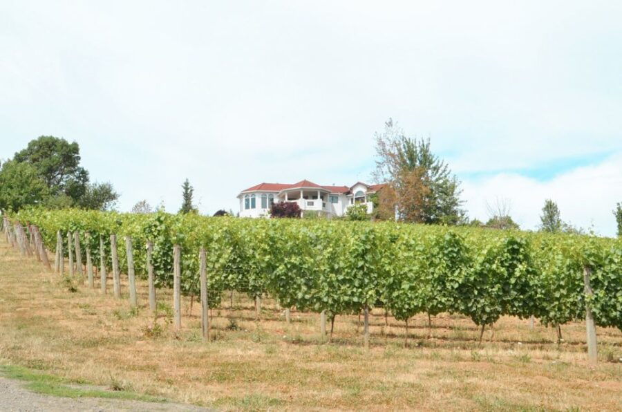 Willamette Valley Wine Tour (Tasting Fees Included) - Good To Know