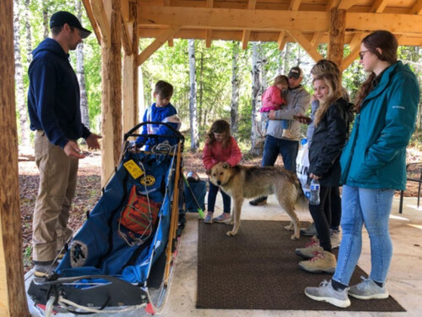 Willow: Summer Dog Sledding Ride in Alaska - Good To Know