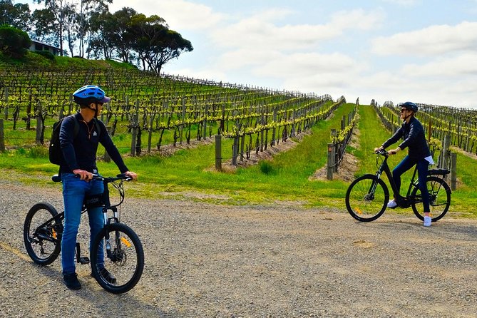 Willunga, Wine and Winding...Down a Country Road by E-Bike - Mclaren Vale