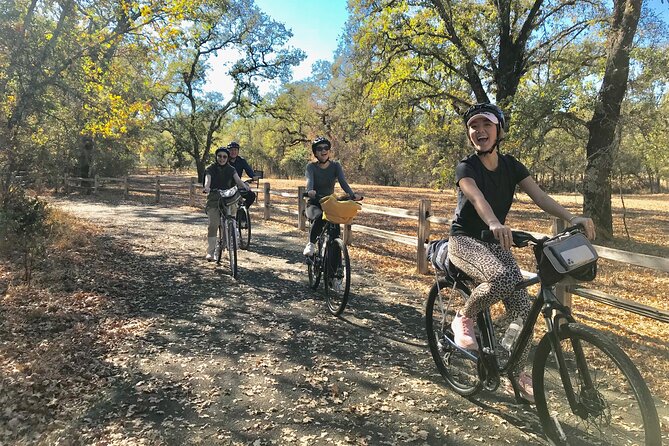 Windsor, Sonoma Valley Half-Day Craft Beer Bike Tour  – Napa & Sonoma