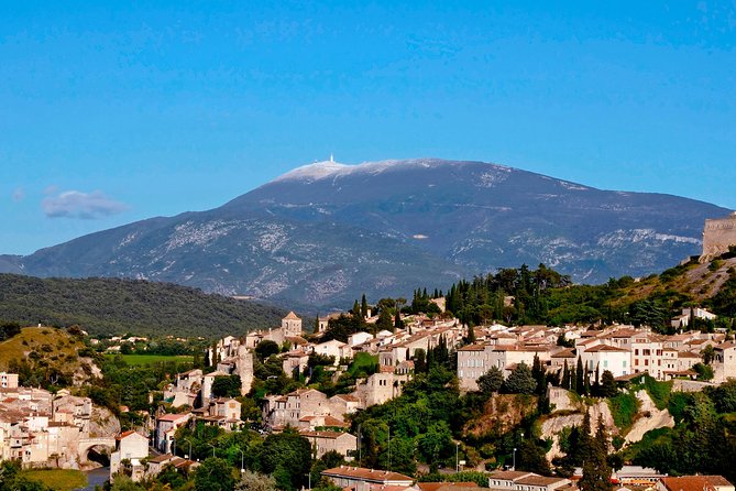 Wine and Cheese Tour in Vaison-La-Romaine and Séguret From Avignon