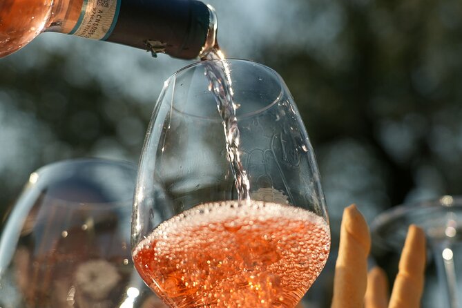 Wine and Food Tasting on Bardolino Hills - Additional Information