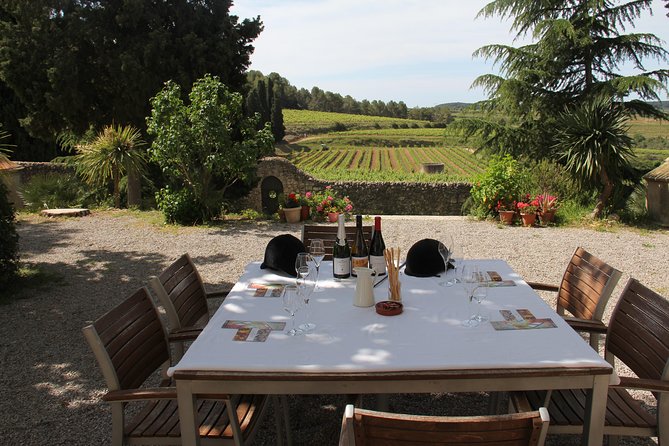 WINE & CAVA TOUR PENEDÉS: Visit 2 WINEries, WINE Tasting & Tapas Lunch - Good To Know