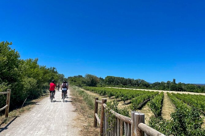Wine Excursion by Electric Bike Guided by GPS Vallon Pont Darc - Electric Bike Rental