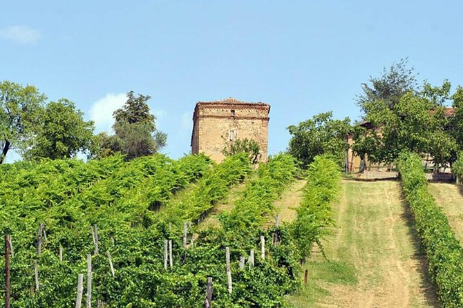 Wine Experience Bologna Hills - Good To Know