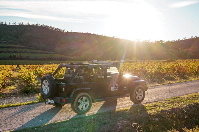 Wine Safari