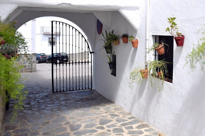 Wine & Tapas Tour by Electric Bike (E-Bike) Including Ronda Pickup (Half Day)