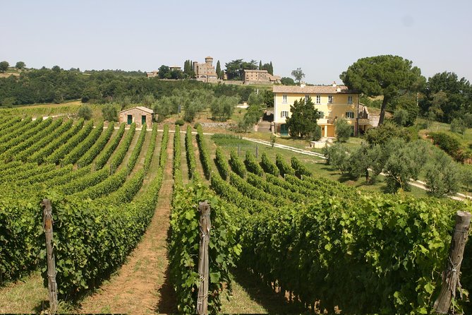 Wine Tasting and Winery Tour