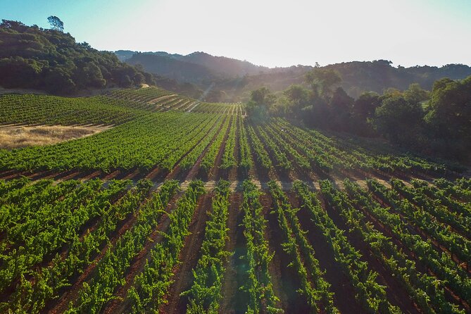 Wine Tasting Experience @ Lyrarakis Winery (Transfer Included) - Pricing and Booking Details