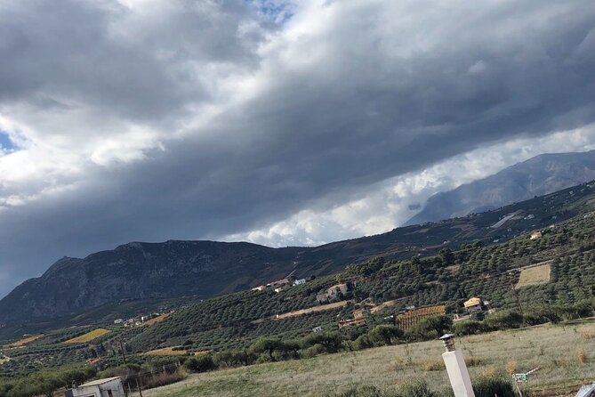 Wine Tasting Experience of Cretan Wines With a Wine Pro - Pricing and Booking