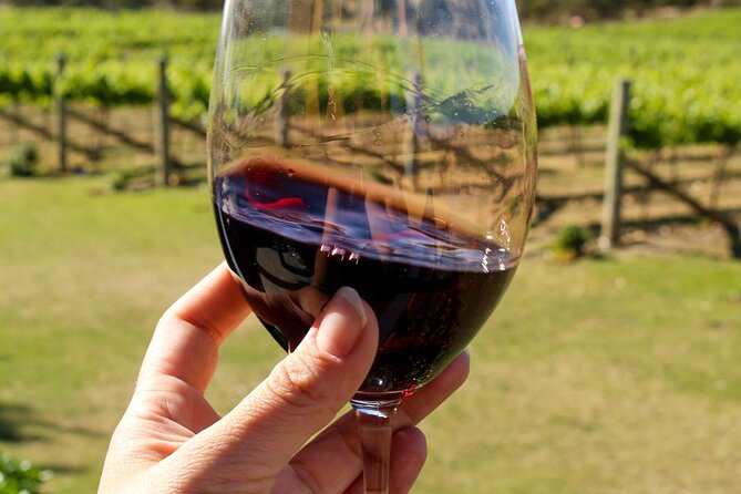 Wine Tasting in Canberra Region