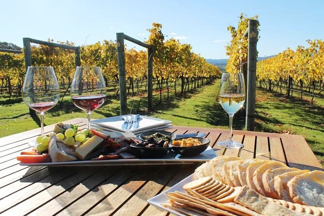 Wine Tour and Private Cooking Class 6 Hours - Good To Know