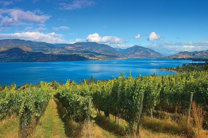 Wine Tour – Half Day Lakeshore & Southeast Kelowna