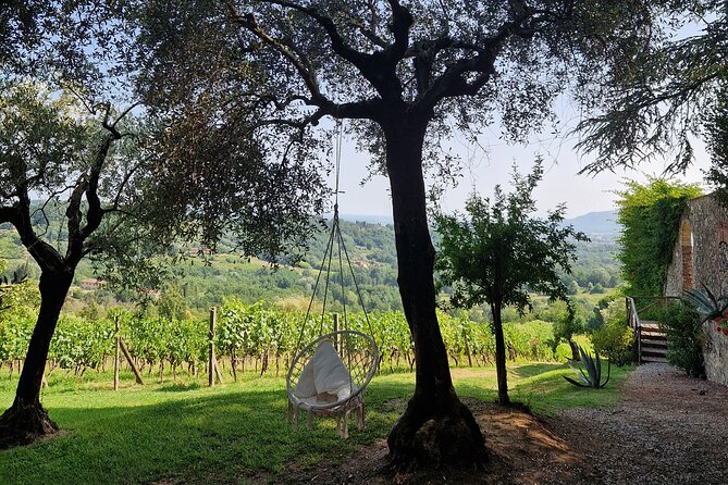 Wine Tour in the Countryside of Lucca With Lunch - With Minivan - Good To Know