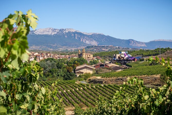 Wine Trails and Medieval Tales Bilbaos Heartland Tour