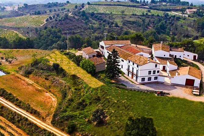 Winery, Lunch and Wine Tasting - Good To Know