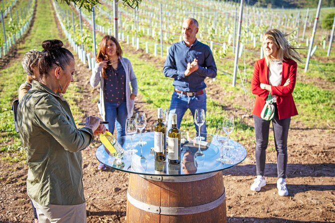 Winery Tour and Tasting at the Galician Estate