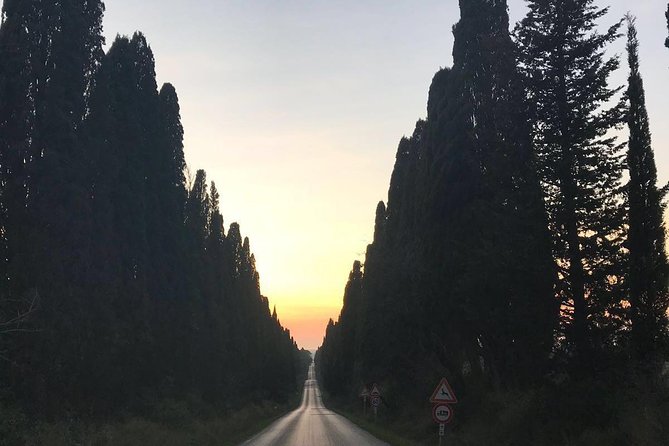 Winery Tours and Tastings in Bolgheri With Wine Guide & Private Driver
