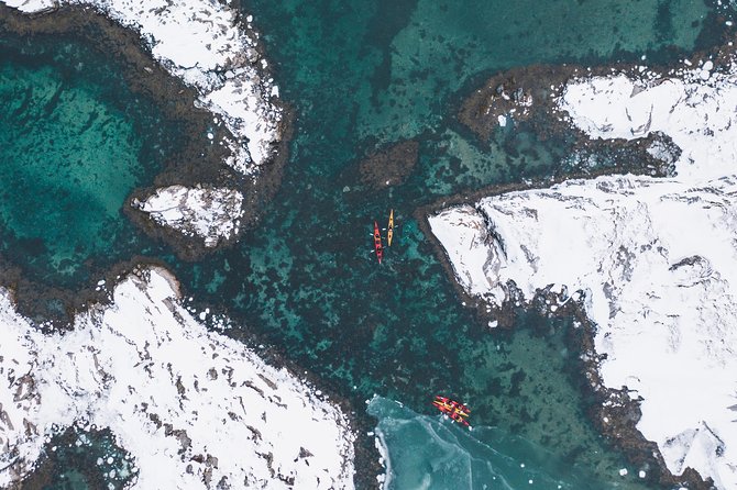 Winter Half Day Kayak Tour