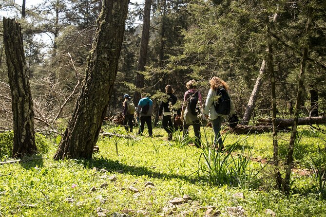 Winter Season Hiking at Mount Akramitis