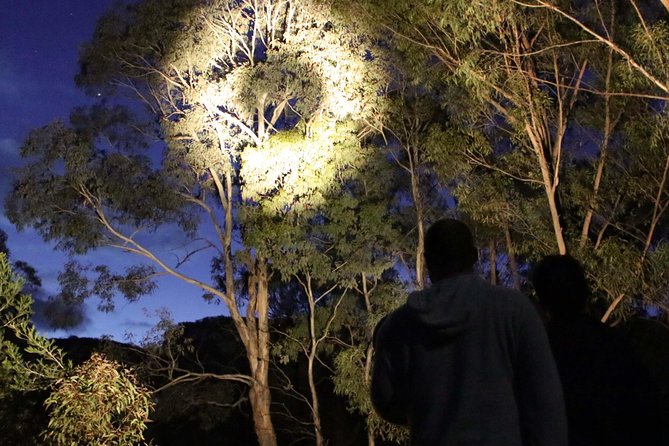 Wollemi Twilight Wildlife Tour