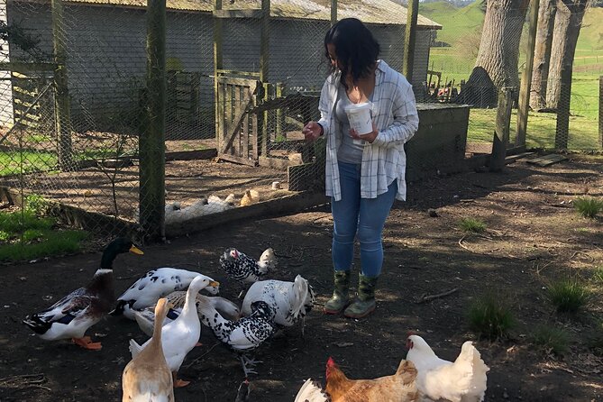 Wool Sheep Farm Experience With Handmade Wool Hat in New Zealand