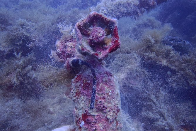 Wreck Exploration Ricardo-18m (Certified Diver)