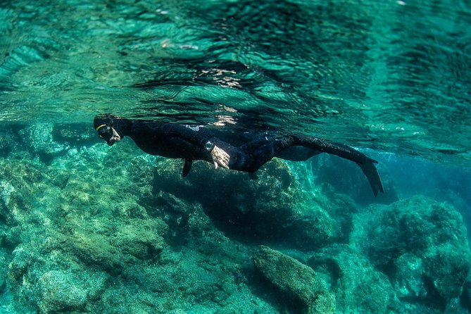 Wreck Snorkeling