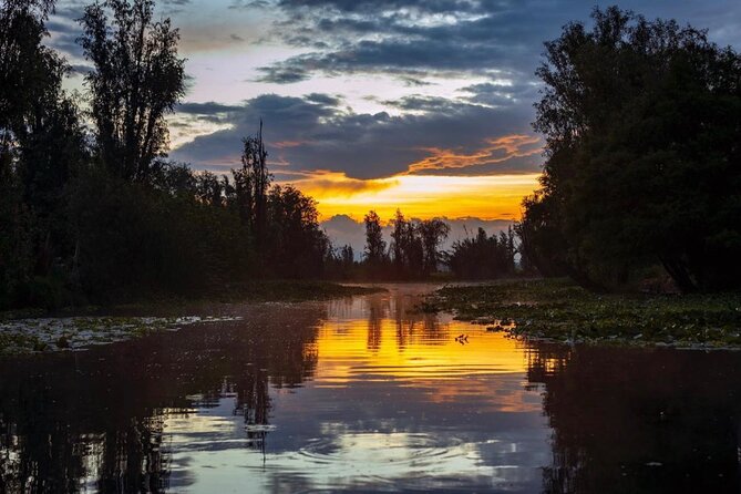 Xochimilco Sunrise From Mexico - Tour Operator and Product Information