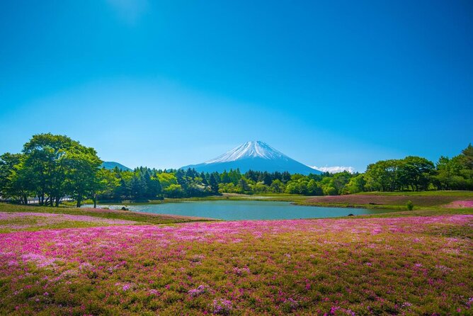 Yamanashi Beyond Mt.Fuji