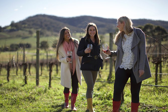 Yarra Valley 2-6 Guests Premium Food and Wine Inc Lunch at Dominique Portet
