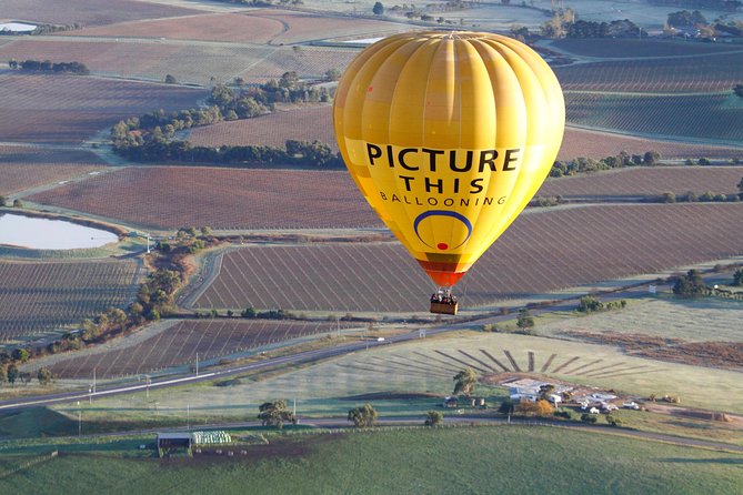 Yarra Valley Sunrise Balloon Flight Only - Good To Know