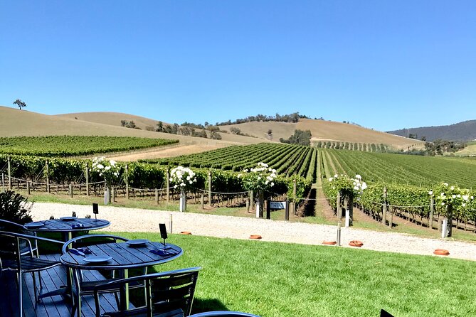 Yarra Valley Wine Tasting 4 Wineries From Melbourne