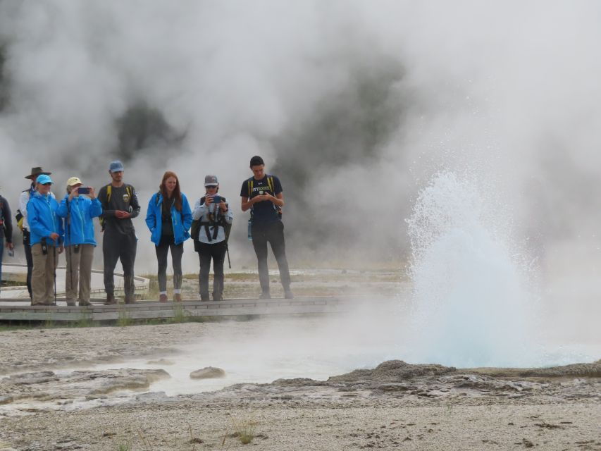 Yellowstone: Upper Geyser Basin Hike With Lunch